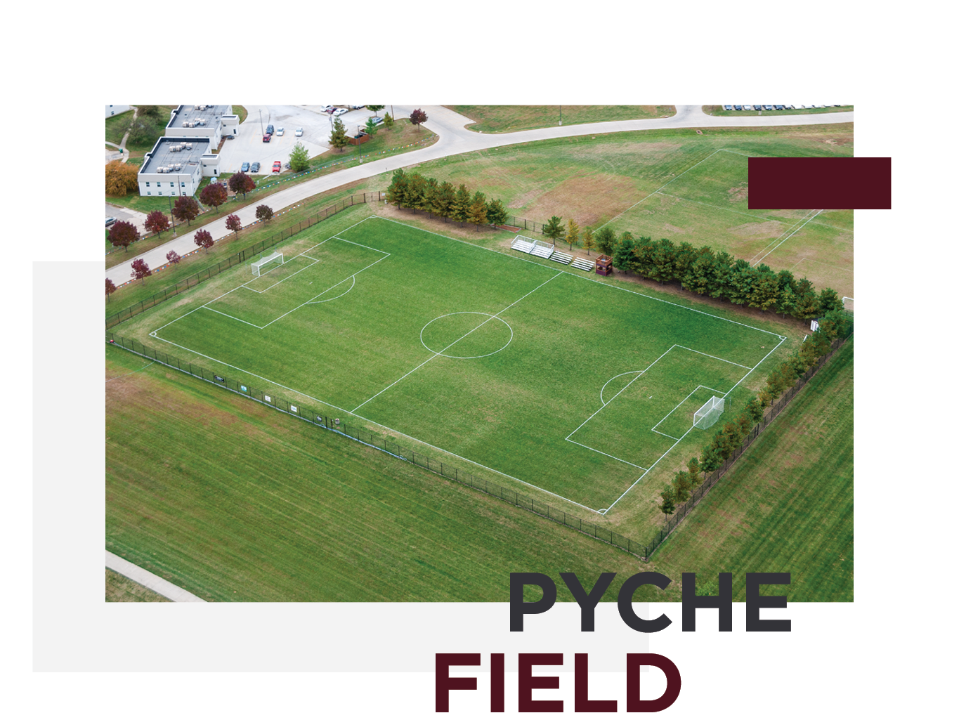 Pyche Field