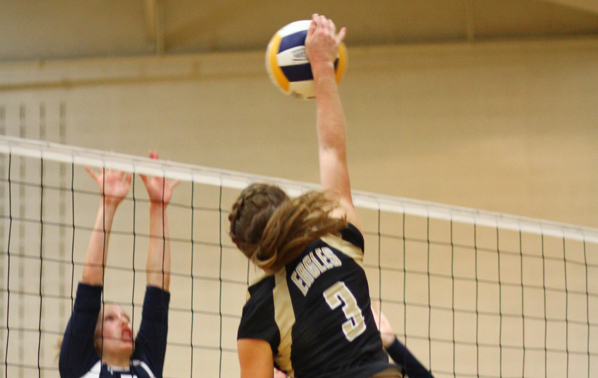 Lady Eagle's Volleyball Falls in Championship Match
